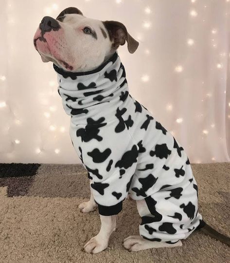 Dog Pjs Pattern, Dog Pajamas Pattern, Diy Dog Pjs, Dog Pajamas Pattern Free, Dog Carrier Pattern, Dog Hoodie Pattern, Pitbull Clothes, Big Dog Clothes, Dog Pjs