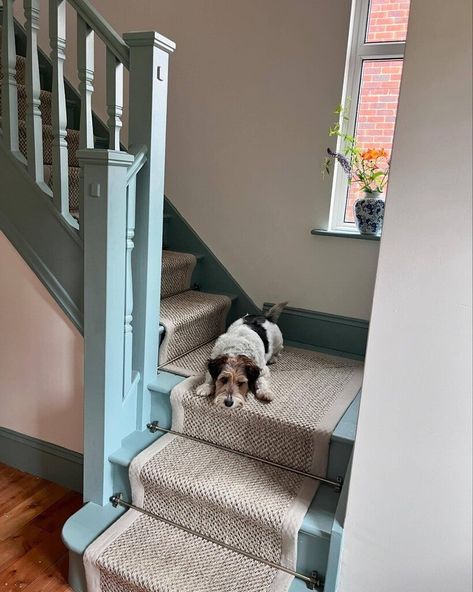 Light Blue Farrow And Ball, Farrow And Ball Blue, Blue Staircase, Paint Stairs, Our Blues, Oval Room Blue, Old Bedroom, Day Room, Painted Stairs