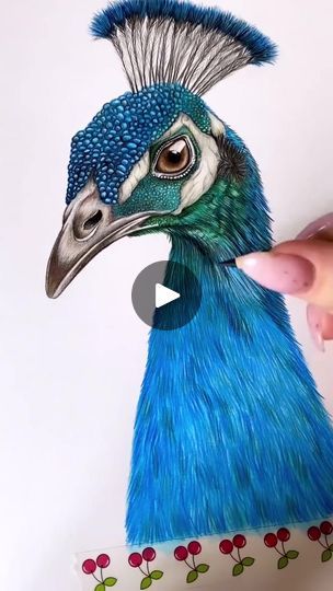 165K views · 5.3K reactions | Drawing & coloring a peacock 💜 By @drawingsbymia.art | By Coloring Book Cafe | Facebook Peacock Colored Pencil Drawing, Peacock Art Drawing, Peacock Drawing With Colour, Reactions Drawing, Peacock Head, Pencil Colour Painting, Peacock Drawing, Peacock Images, Peacock Colors