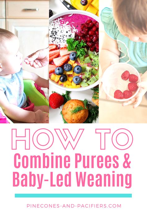 Combing Purees and Baby-Led Weaning - How to do Combination Feeding - Combo Weaning - Pinecones and Pacifiers Baby Led Weaning And Purees, Combining Blw And Purees, Baby Feeding Chart Introducing Solids, Combo Feeding, Combination Feeding, Starting Solid Foods, Baby Led Feeding, Baby Feeding Chart, Toddler Breakfast