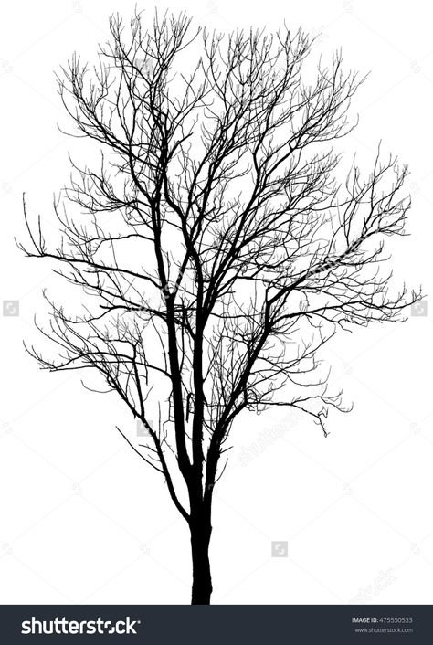 Tree silhouette, Dry Tree Or Dead Tree on white on background.  #tree #dry #dead… Trees Art Drawing, Dried Tree Branches, Grass Silhouette, Tree Outline, Tree Drawings Pencil, Dry Tree, Tree Beautiful, Dead Tree, Vector Trees