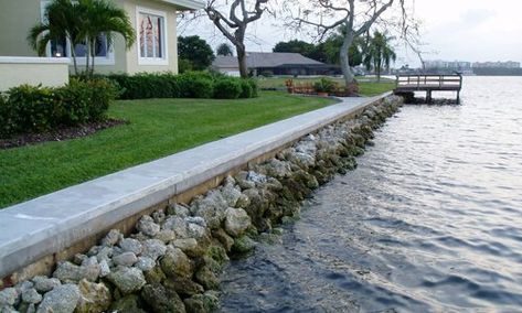 Lake Landscaping, Construction Repair, Lake Dock, Trailer Living, Lake Front, Broward County, Waterfront Property, Sea Wall, Pontoon Boat