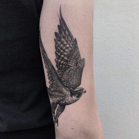 Peregrine Falcon Tattoo Traditional, Hawk Shoulder Tattoo, Peregrine Tattoo, Falcon Tattoo Design, Peregrine Falcon Tattoo, Falcon Tattoo, Crocodile Tattoo, Squid Tattoo, Outer Forearm Tattoo