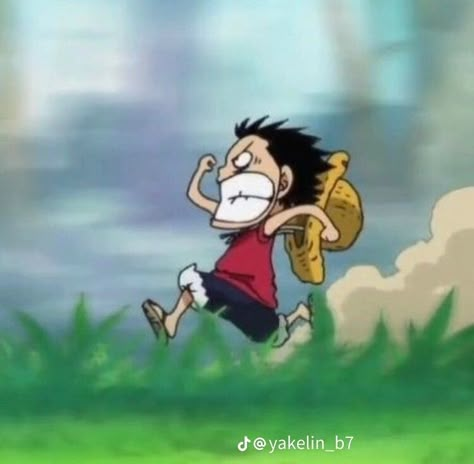 Mini Luffy, One Piece Funny Moments, رورونوا زورو, One Piece Photos, One Piece Cartoon, One Piece Meme, One Piece Wallpaper Iphone, Anime Butterfly, One Piece Funny