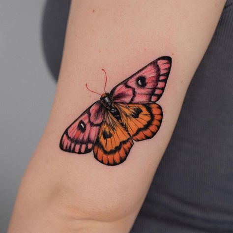 Butterfly Tattoo Large, Moth Tattoo Ideas, Scars Tattoo, Tattoo Ideas With Meaning, First Tattoo Ideas, Botanical Tattoos, Pink Moth, Shoulder Sleeve Tattoos, Moth Tattoo Design