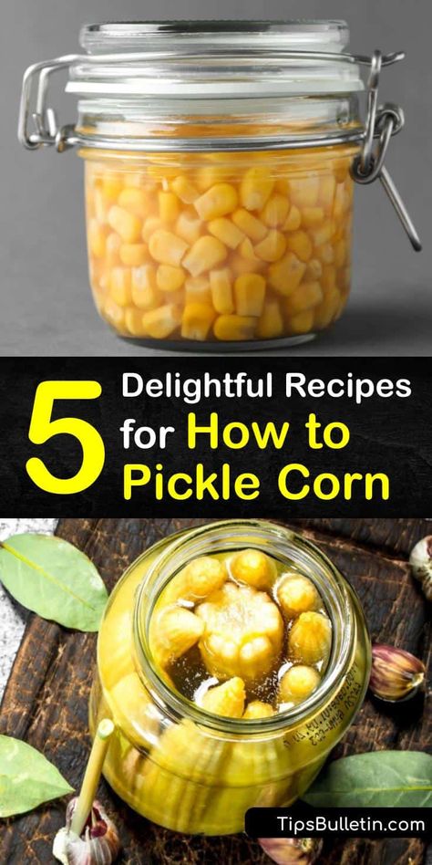 5 Delightful Recipes for How to Pickle Corn Pickled Corn Old Fashioned, Pickled Corn Recipe, Pickled Corn On The Cob, Pickled Baby Corn Recipe, Hobbit Pantry, Storing Jars, Barbeque Side Dishes, Canning Pickles Recipe, Fermented Corn