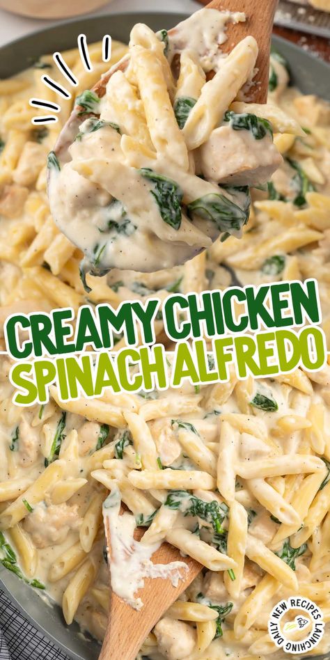 Chicken Spinach Alfredo Chicken Bacon Spinach Alfredo, Chicken Spinach Alfredo Crockpot, Chicken Alfredo Pasta With Veggies, Pasta Spinach Chicken, Chicken Spinach Fettuccine Alfredo, Alfredo Sauce With Spinach, Chicken And Spinach Alfredo Casserole, Easy Recipes With Spinach, Crock Pot Chicken Alfredo Pasta