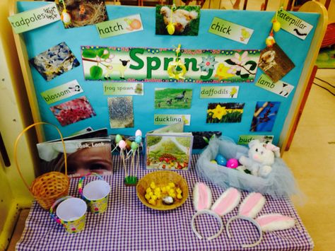 Easter/Spring interest table #eyfs #nursery Easter Eyfs, Spring Eyfs, Eyfs Easter, Investigation Table, School Display Boards, Eyfs Nursery, Kindergarten Stations, Investigation Area, Garden Sensory