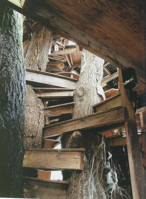 Old Treehouse, Treehouse Ideas, Building A Treehouse, Tree House Diy, Tree House Designs, Sally Face, Tree Houses, Stairs Design, Book Aesthetic