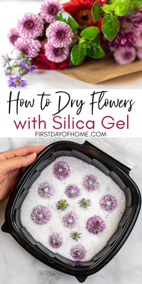 Silica Gel Uses, How To Dry Flowers, Dried Flowers Crafts, Preserving Flowers, Pressed Flowers Diy, Drying Flowers, Dried Flowers Diy, Pressed Flower Crafts, Floral Preservation