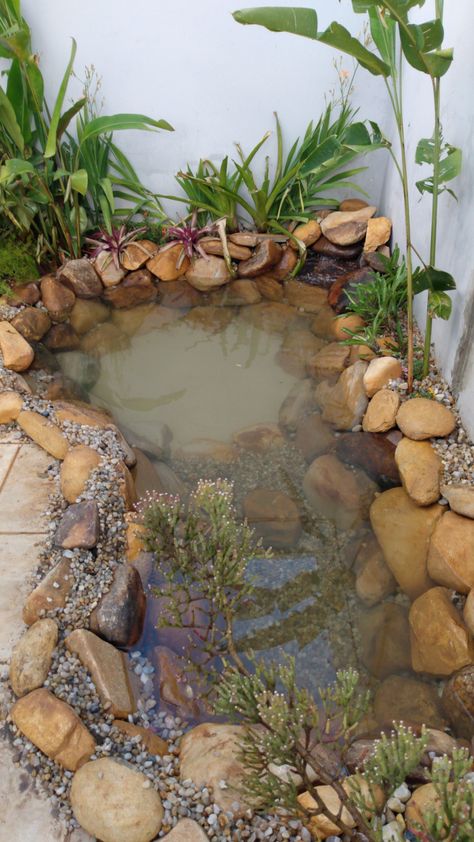 Fish Pond Gardens, Small Pond, Pond Ideas, Diy Backyard Landscaping, Patio Interior, Natural Diy, Fish Pond, Home Design Decor, Diy Backyard