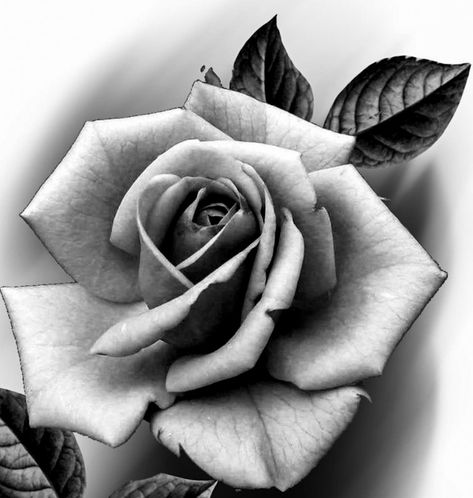 Black And Grey Rose Photography, Rose Reference Black And Grey, Realism Rose Tattoo, Realistic Rose Drawing, Black And Grey Rose Tattoo, Roses Black And White, Beautiful Spine Tattoos, Rose Tattoo Stencil, Drawings With Meaning