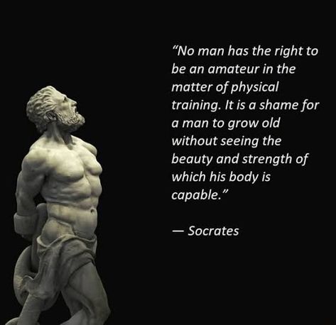 Stoic Motivation, Warrior Motivation, Shame Quotes, Beast Motivation, Lean Physique, Philosophy Theories, Aesthetic Bodybuilding, Wrestling Quotes, Full Body Weight Workout