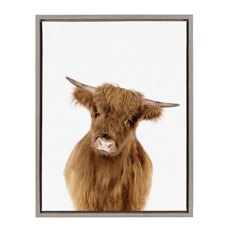 'Baby Highland Calf' Framed Photographic Print on Canvas Highland Calf, Baby Highland Cow, Bee Baby, Portrait Frame, Colorful Wall Art, Animal Wall Art, Framed Canvas Wall Art, Digital Art Prints, Art Sur Toile