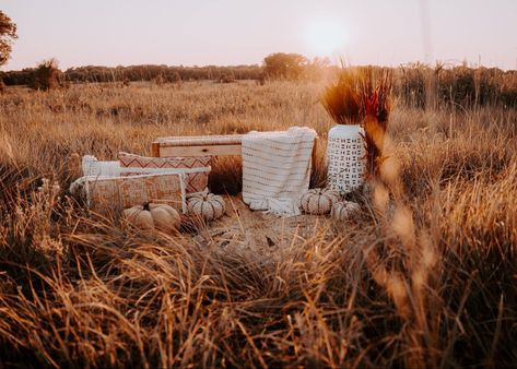 Fall Photoshoot Setup Ideas, Fall Mini Shoot, Mini Session Themes, Outdoor Christmas Photos, Pumpkin Patch Photoshoot, Photography Set Up, Fall Backdrops, Mini Photo Sessions, Photography Mini Sessions