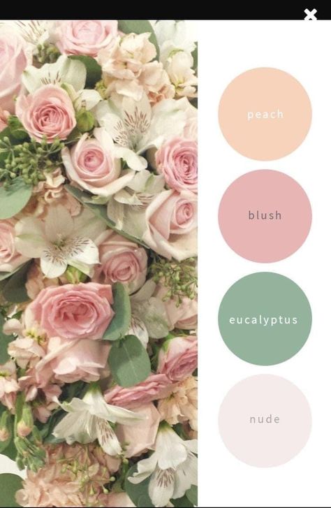 Peach Pink Green Color Palette, Flower Color Palette Colour Schemes, Pink Wedding Palette, Peach Color Palettes, Baby Pink Wedding, Pink Green Wedding, Boho Colors, Pink Wedding Colors, Wedding Dance Choreography