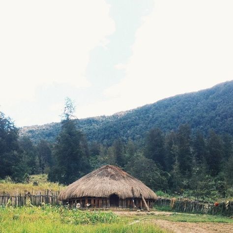 Honai is the traditional house of Papua tribes who live in the central highland of Papua. Honai Papua, Bush House, New Guinea, Heaven On Earth, Papua New Guinea, Traditional House, Cabin, Natural Landmarks, House Styles