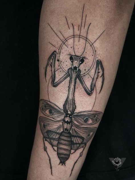 Blackwork praying mantis tattoo Praying Mantis Tattoo, Mantis Tattoo, Nature Tattoo Sleeve, Bug Tattoo, Broken Dreams, Praying Mantis, Sun Tattoo, Tattoo Meaning, Nature Tattoos