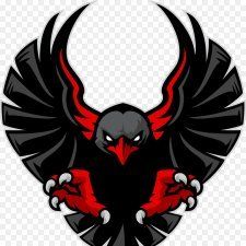 PSA Sitch🚸 on Twitter: "lol sad https://t.co/7GozIC8unR" / Twitter On Off Logo Design, Evil Man, Falcon Logo, Red And Black Background, Eagle Drawing, Eagle Wallpaper, Pregnant Lady, Spiderman Art Sketch, Samurai Artwork