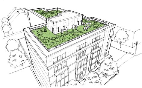 Ave-GreenRoof Sketch Green Building Architecture, Green Roof Design, Green Roof Building, Building Sketch, Brown I, Architecture Concept Diagram, Areas Verdes, Roof Architecture, Architecture Design Drawing