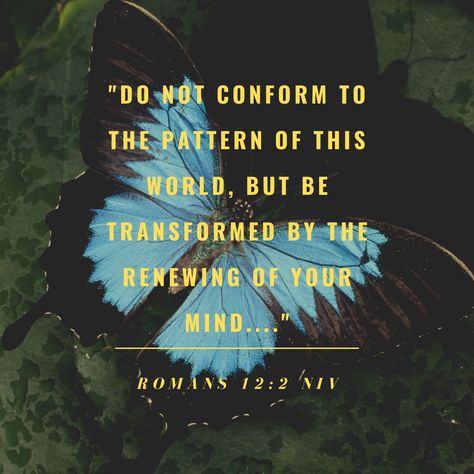 We Are Not Of This World Scripture, Be Not Conformed To This World Romans 12, Do Not Conform To This World, Not Of This World, Family Bible Verses, Do Not Conform, Christian Shirts Designs, We Shed, World Quotes