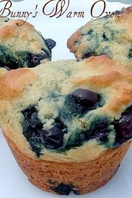 Stonyfield Farms Blueberry Yogurt Muffins recipe with 160 calories. Recipe Using Plain Yogurt, Plain Yogurt Recipes, Vanilla Yogurt Recipes, Blueberries Muffins, Yogurt Dessert Recipes, Yogurt Desserts, Yogurt Blueberries, Blueberry Yogurt Muffins, Sunday Plans