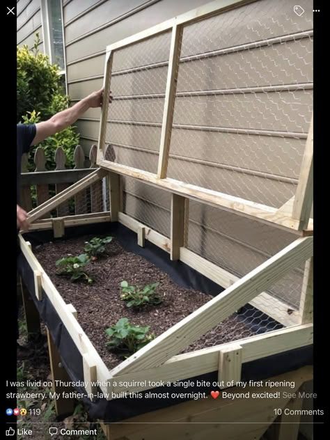 Raised Vegetable Gardens, Diy Garden Bed, Vegetable Garden Planning, Kitchen Ideas Modern, Diy Raised Garden, Small Kitchen Ideas, Veg Garden, Greenhouse Gardening, Vegetable Garden Design