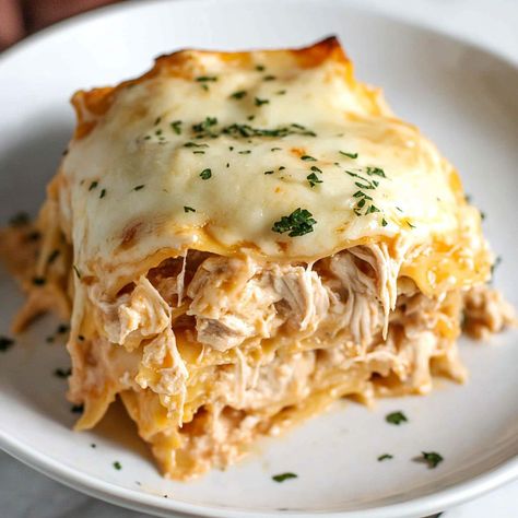 Chicken Alfredo Lasagna Recipe, Honey Glazed Salmon Recipe, Crockpot Chicken Alfredo, Honey Glazed Salmon, Chicken With Italian Seasoning, Slow Cooker Lasagna, Red Blonde, Lasagna Ingredients, Easy Crockpot Chicken