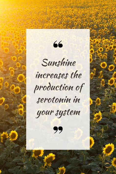 Soak in some #sunlight if you need a #happiness boost! Taking in some sun will also ensure you're getting Vitamin D into your system on this #beautiful #Saturday. Share this with someone who you would like to take in some sun with! #mindful #sunflowers #quotes #inspiration #gratitude #abundance #confidence Chasing The Sun Quotes, Vitamin D Quotes Sun, Vitamin D Quotes, The Sun Quotes, Quotes About Happiness, Sun Quotes, Beautiful Saturday, About Happiness, Seasonal Living