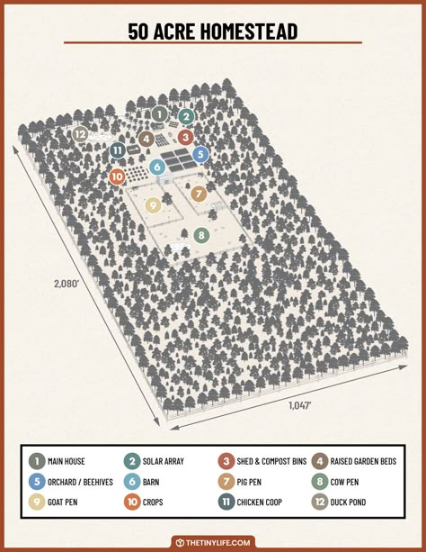 Designing A 50 Acre Homestead Layout - The Tiny Life Acre Homestead Layout, Homestead Layout, Acre Homestead, Farm Plans, Homestead Farm, Farm Layout, Homesteading Skills, Hobby Farms, Apple Picking