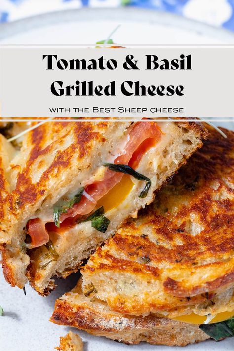 This Heirloom Tomato Grilled Cheese with Fresh Basil is the ultimate summer grilled cheese made with fresh juicy heirloom tomatoes and fresh basil. A Caprese Salad in the form of a grilled cheese sandwich! This sandwich is easy to make and requires only a handful of simple ingredients. Totally fuss-free and always a hit. This recipe is vegetarian and can easily be made vegan too. It's so good, I promise you'll love it! #grilledcheese #heirloomtomatoes Tomato Grilled Cheese Sandwiches, Poolside Sandwiches, Porch Hangout, Tomato Basil Grilled Cheese, Basil Grilled Cheese, Tomato Grilled Cheese, Grilled Cheese With Tomato, Grilled Sandwiches, Sandwhich Recipes