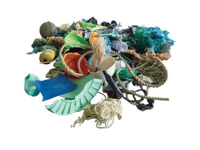 Pollution Environment, Plastic In The Sea, Museum Exhibit, Environment Protection, Wildlife Habitat, Plastic Pollution, Tree Hugger, Museum Exhibition, Design Museum