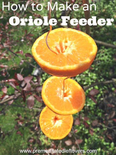 How to Make an Oriole Bird Feeder with this DIY Bird Feeder Tutorial Oriole Bird Feeders, Bird Feeder Hangers, Backyard Birds Watching, Backyard Birds Sanctuary, Bird Feeder Craft, Oriole Bird, Fun Summer Crafts, Homemade Bird Feeders, Nature Craft