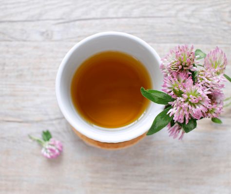 Tea For A Cold, Hair Regrowth Oils, Tea Infusion, Orange Sweet Potatoes, Herbal Store, Lemongrass Tea, Broccoli Sprouts, Herbal Drinks, Red Clover