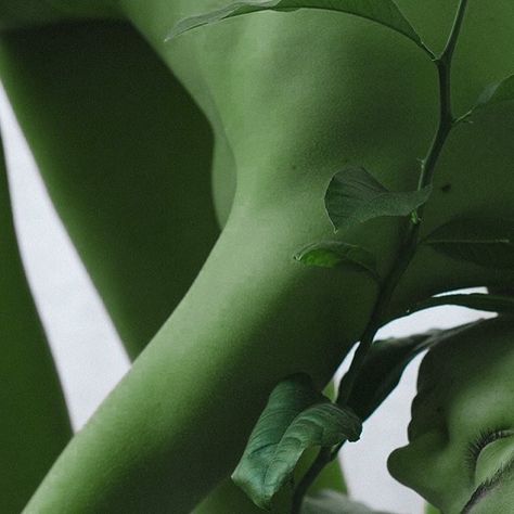 Green Dancer Aesthetic, Orange Skin Aesthetic, Green Tiefling Aesthetic, Green Skin Character, Green Skin Aesthetic, Green Character Aesthetic, Fairy Aesthetic Green, Green Tiefling, Nightshade Aesthetic