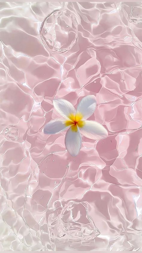 Pink Plumeria Wallpaper, Hawaii Pink Aesthetic, Pastel Flower Painting Acrylic, Image Rose Aesthetic, Widget Aesthetic Pink, Pretty Wallpapers Backgrounds Beauty, Fleurs Aesthetic, Astetic Wallpapers, Fleur Aesthetic