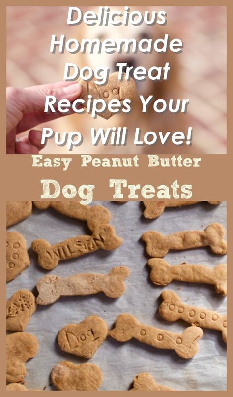 Looking for homemade dog treat recipes that your furry friend will adore? Check out these delicious options that are sure to make your pup's tail wag with joy! From peanut butter to pumpkin, these recipes are easy to make and packed with wholesome ingredients. Your dog deserves the best, so why not treat them to some homemade love with these tasty treats! Homemade Dog Treat Recipes, Liver Dog Treats, Pet Treats Recipes, Dog Treats Homemade Easy, Easy Dog Treat Recipes, Organic Dog Treats, Easy Dog Treats, Healthy Dog Treats Homemade, Dog Treats Homemade Recipes