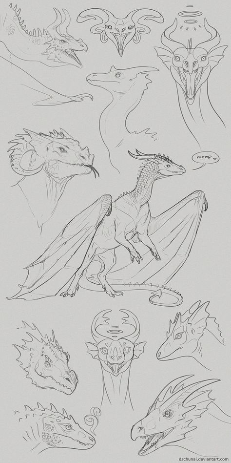 Dragon References Drawing, Fantasy Creature Drawing Reference, Dragon Face Shapes, Dragon Flying Drawing Reference, Armor For Dragons, Dragon Atonamy, Dragon Looking Down, Dragon Looking Up, Dragon Snout Reference