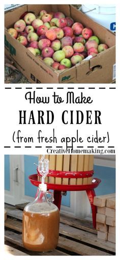 Diy Cider, Hard Cider Recipe, Making Hard Cider, Make Apple Cider, Making Apple Cider, Homemade Cider, Cider Press, Fruit Diy, Hard Apple Cider