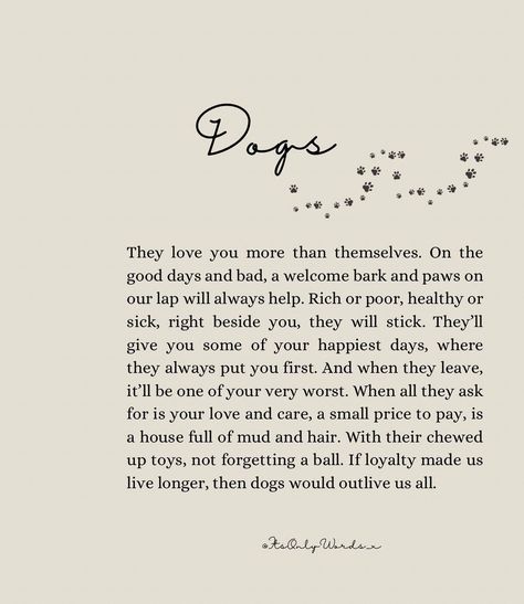 Griefing Your Dog Quotes, Poems About Losing A Pet Dogs, Dog Grievance Quotes, Dog Prayers Loss Of A, Pet Memorial Quotes Dogs, Dog Died Quotes, Dog Passing Quotes, Sick Dog Quotes, Losing A Dog Quotes Comforting Words