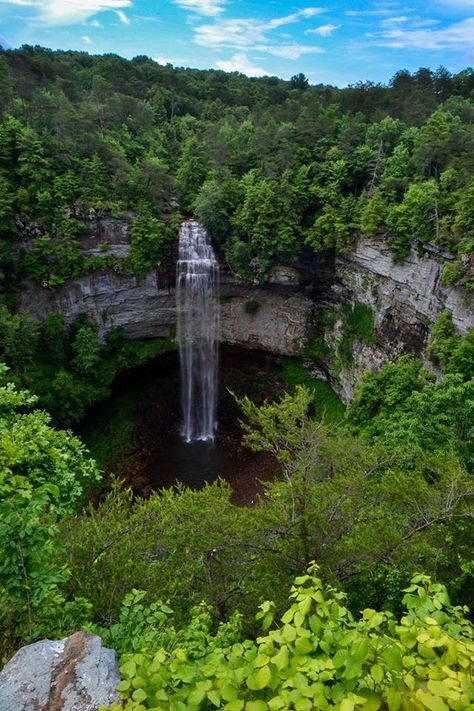 Fall Creek Falls State Park Fall Creek Falls Tennessee, Fall Creek Falls, Tennessee Waterfalls, Tennessee Road Trip, Tennessee State Parks, Wilderness Retreat, Tennessee Travel, New River Gorge, Fall Creek