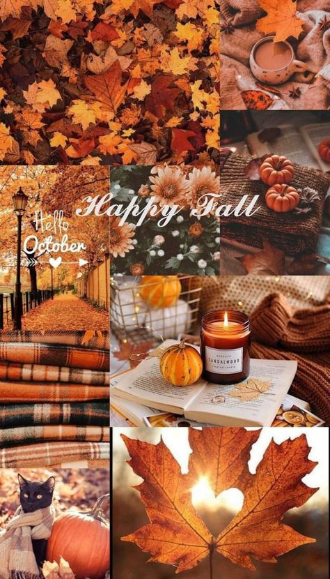 Fall Wallpaper Iphone, Fall Wallpaper Aesthetic, Autumn Phone Wallpaper, Fall Picnic, Collage Mural, Map Compass, Halloween Wallpaper Cute, Girly Wallpapers, Cute Fall Wallpaper