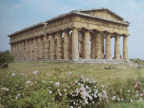 Architecture Greek Ancient, Greek Temple Architecture, Temple Of Hera Olympia, Ancient Greek And Roman Architecture, Ancient Greece Temple, Greek Temple Ruins, Antica Grecia Aesthetic, Old Greek Architecture, Greek Mythology Temple