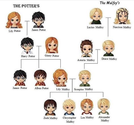 Potter Family Tree, Harry Potter Family Tree, Fanart Harry Potter, Meme Harry Potter, Freya Mavor, Potter Family, Luke Mitchell, Citate Harry Potter, Art Harry Potter