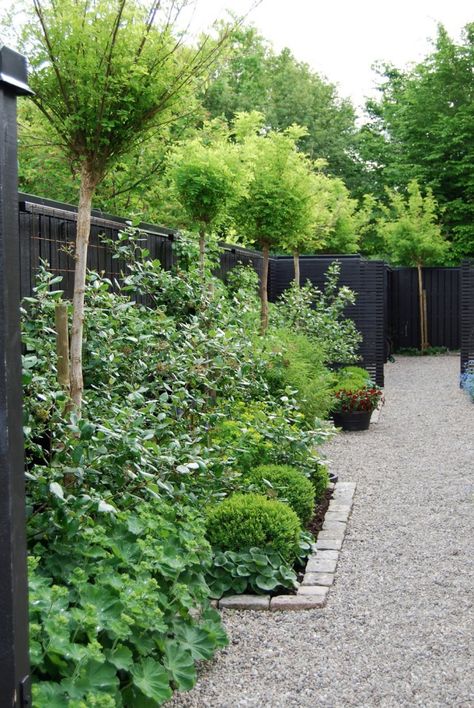 trend alert: black fences | gardenista Garden With Gravel, Black Fences, Patio Chico, Gravel Landscaping, Black Fence, Gravel Path, Garden Shrubs, Have Inspiration, Garden Fencing