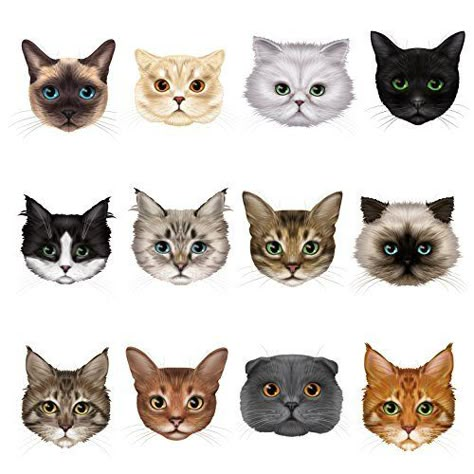 12 Cute Cat Face Window Clings by Articlings – 12 Different Breeds - Non-adhesive Stickers - Quickly Decorate and Brighten your Windows Sneaky Cat, Cute Cat Face, Pola Sulam, Cat Crafts, Cats Illustration, Window Clings, Cat Wallpaper, Cat Illustration, Cat Face