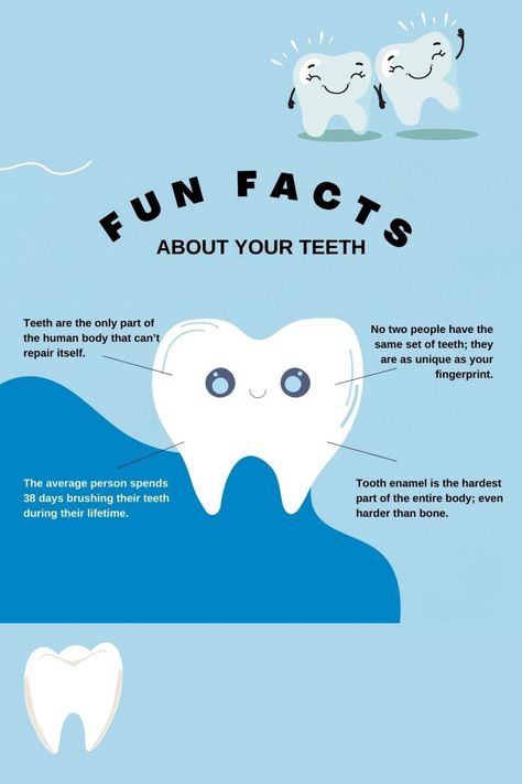 Did you know facts #healthyteeth #oralcare #didyouknowfacts #teethfacts Dental Facts Did You Know, Dental Instagram Posts, Dental Post, Dentist Marketing, Content Template, Dental Assistant Study, Dental Quotes, Dental Posts, Dental Tips