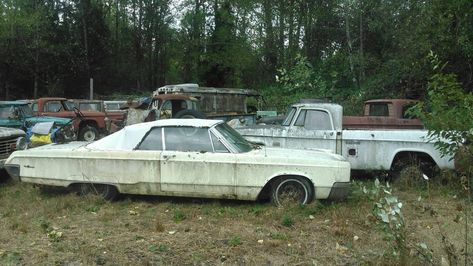 Wrecking Yard Sale! 160 Mopar Cars, Trucks and More! #ForSale  - https://barnfinds.com/wrecking-yard-sale-160-mopar-cars-trucks-and-more/ Puyallup Washington, Wrecking Yards, Abandoned Vehicles, Cars 4, Chrysler Cars, Mopar Cars, Abandoned Cars, River Rock, Barn Finds