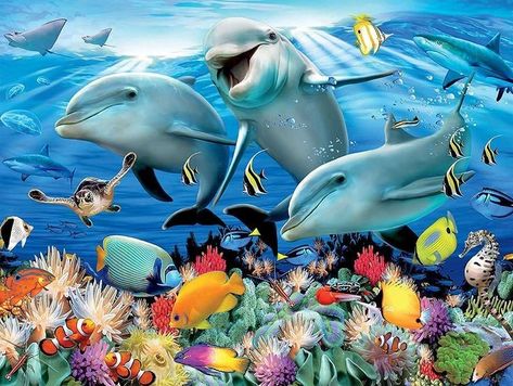 Schools Of Fish, Sea Artwork, Kids Toy Shop, Dolphin Art, Underwater Painting, Coral Wallpaper, Underwater Animals, Underwater Art, Fish Sea