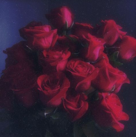 Rose Asethetic Pic, Romantic App Icons, Valentines Day Aesthetic Dark, Dark Pink Roses Aesthetic, Romantic Red Aesthetic, Romantic Grunge Aesthetic, Rose Aesthetic Dark, Rose Red Aesthetic, Dark Rose Aesthetic